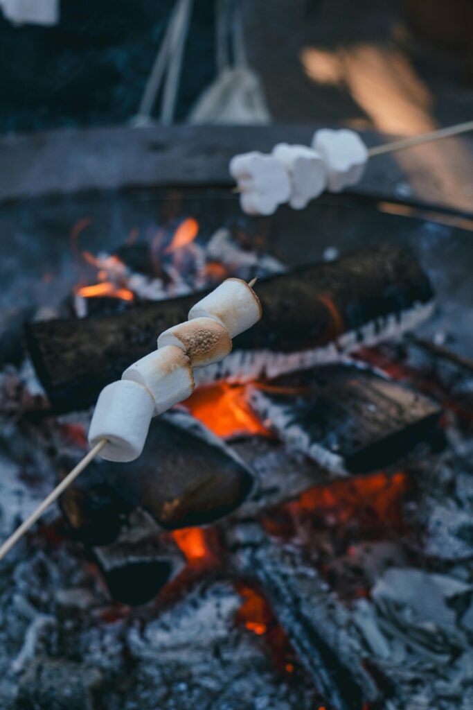 INSIGNIA 24” Class F20 Series LED HD Smart Fire TV, Voice Remote with Alexa, Free  Live TV