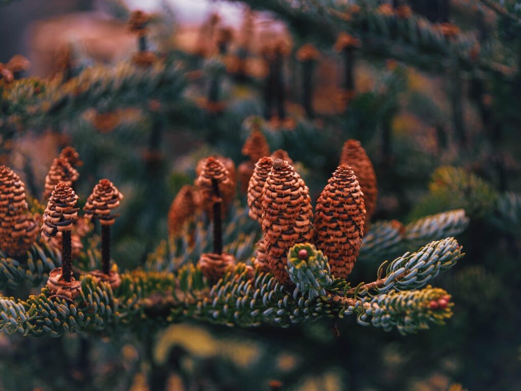 Samsung 43-Inch Class Crystal UHD U8000F 4K Smart TV (2025 Model) Endless Free Content, Crystal Processor 4K, MetalStream Design, Knox Security, Alexa Built-in